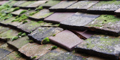 Tyn Y Gongl roof repair costs